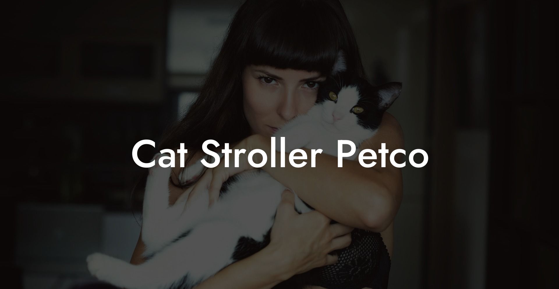 Cat Stroller Petco