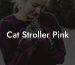 Cat Stroller Pink