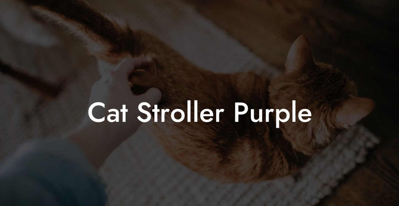 Cat Stroller Purple