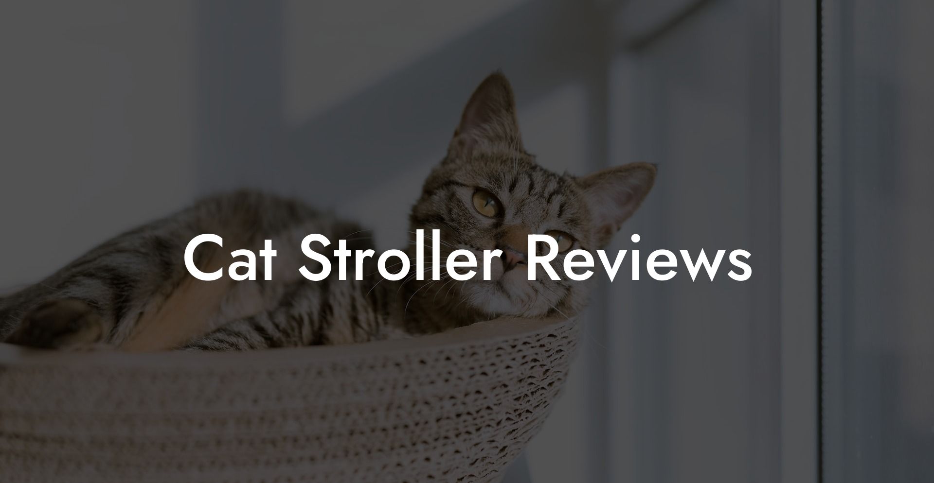 Cat Stroller Reviews