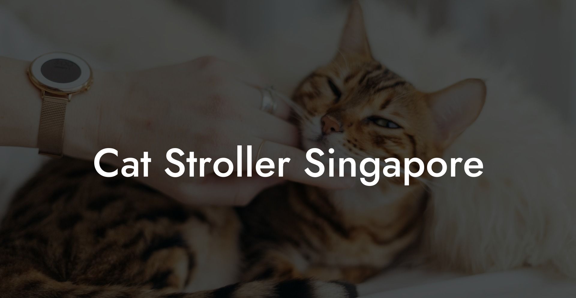 Cat Stroller Singapore