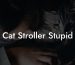 Cat Stroller Stupid