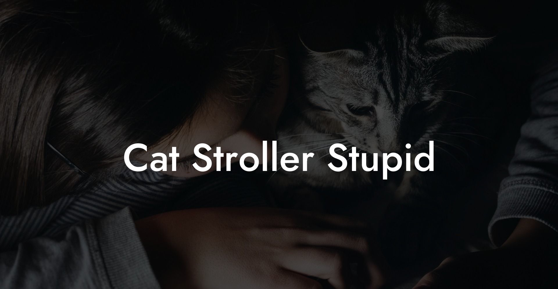 Cat Stroller Stupid