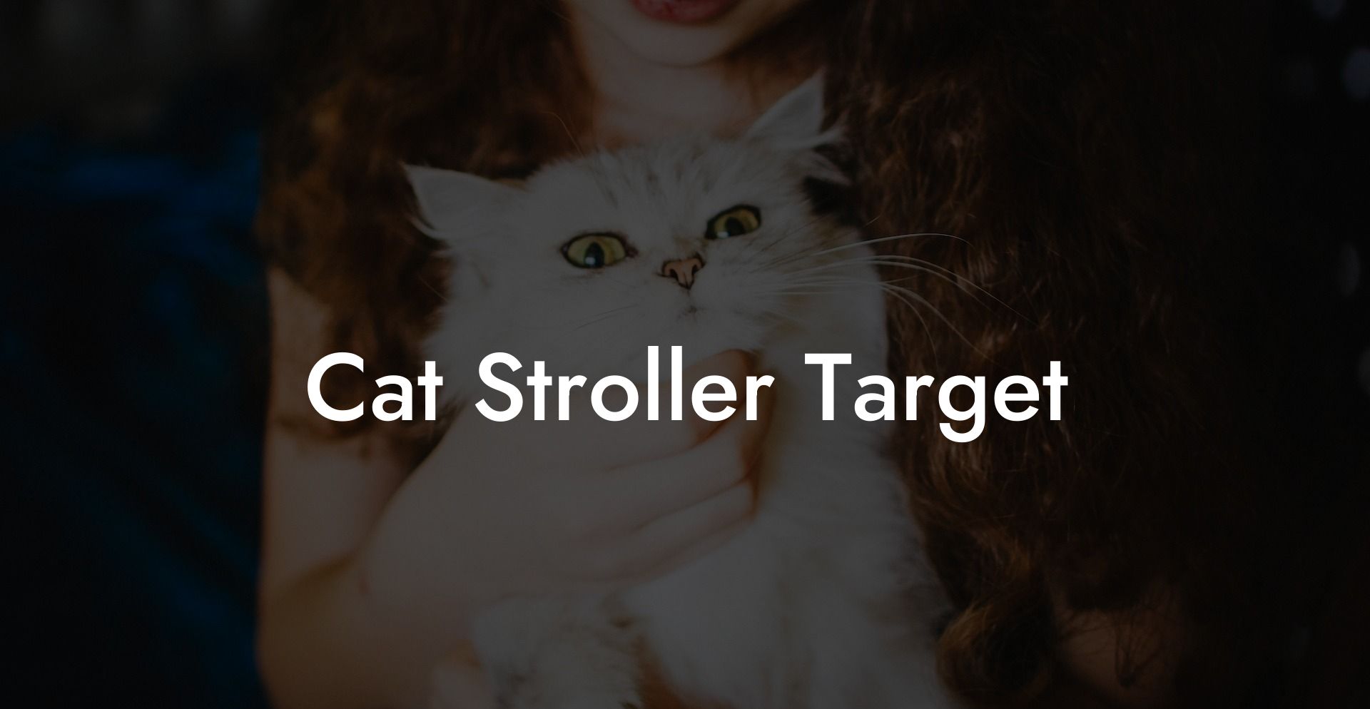 Cat Stroller Target