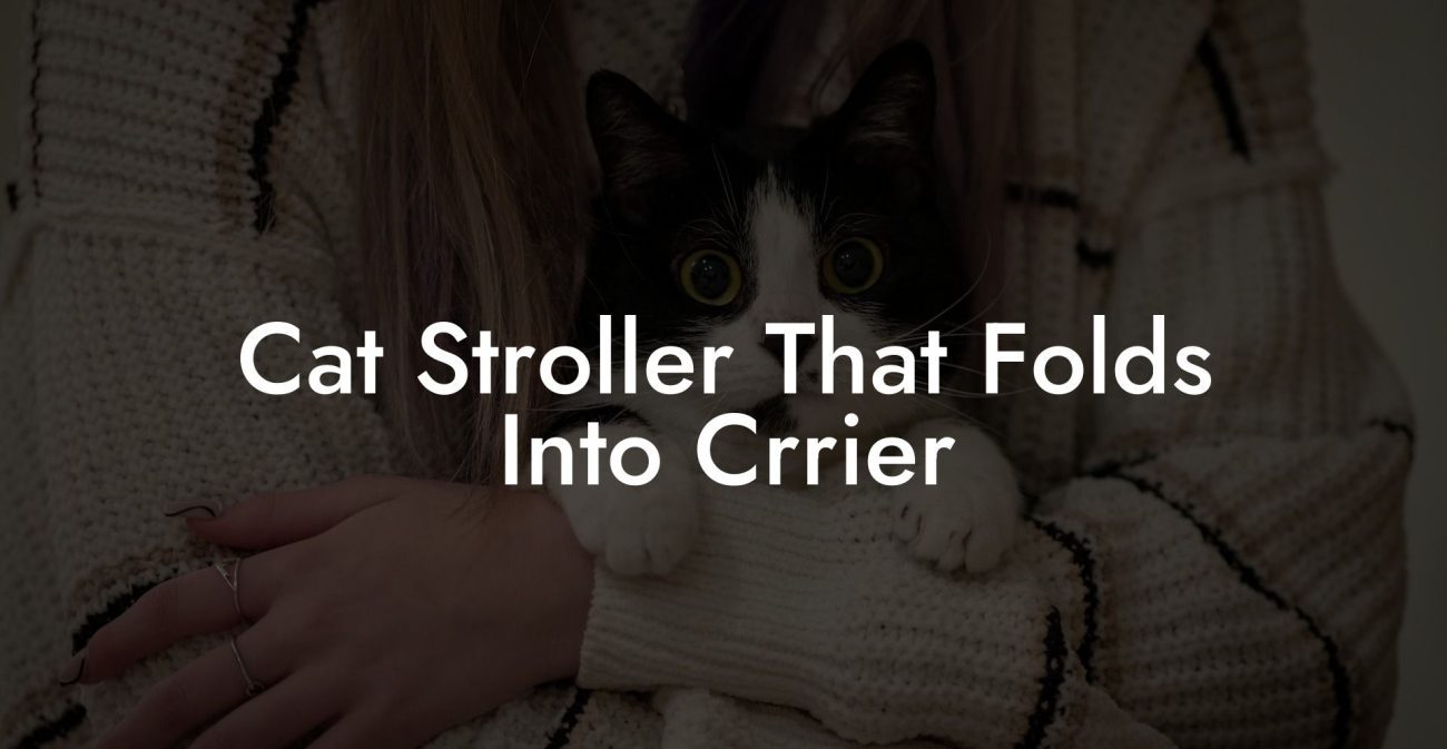 Cat Stroller That Folds Into Crrier