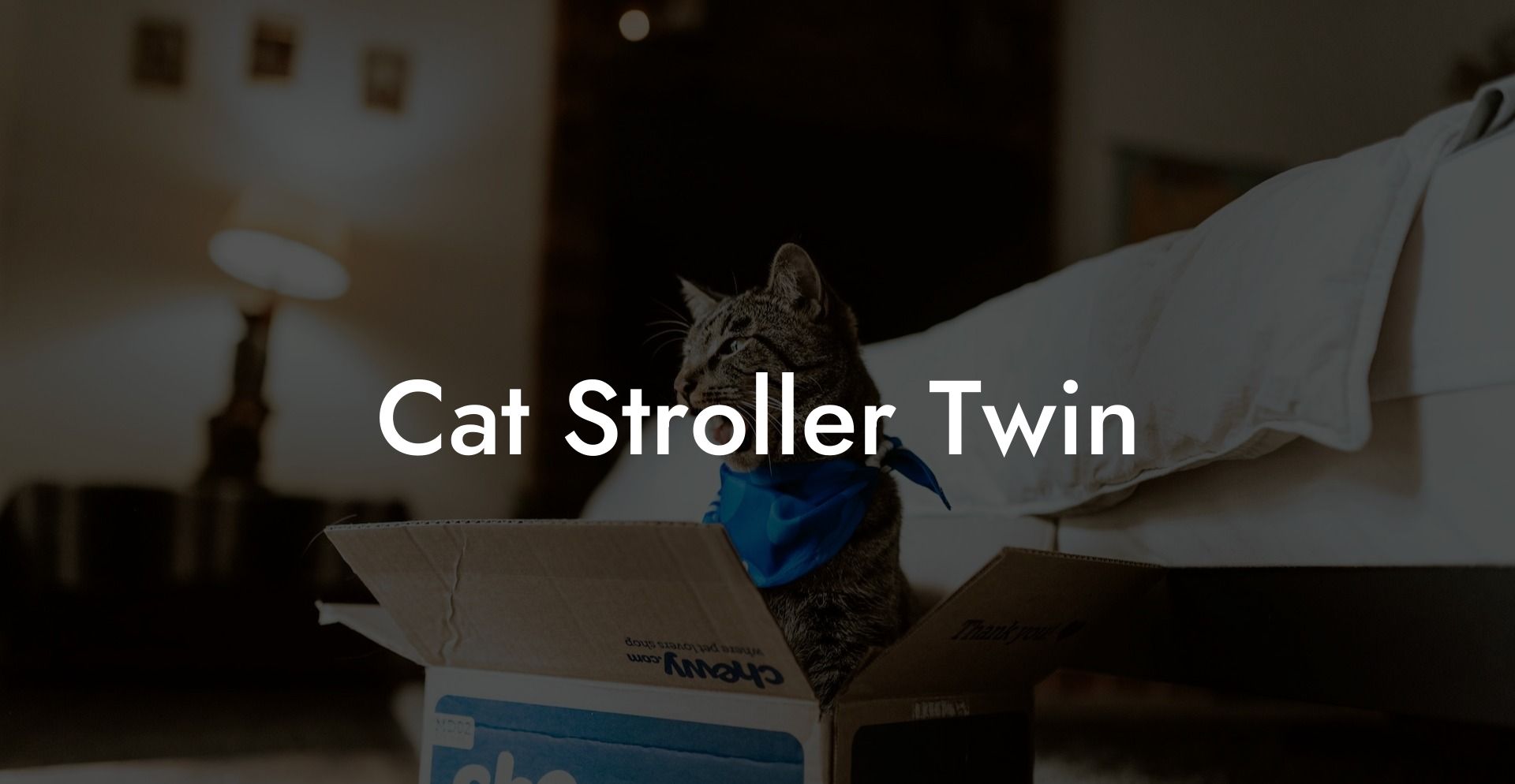 Cat Stroller Twin