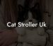 Cat Stroller Uk