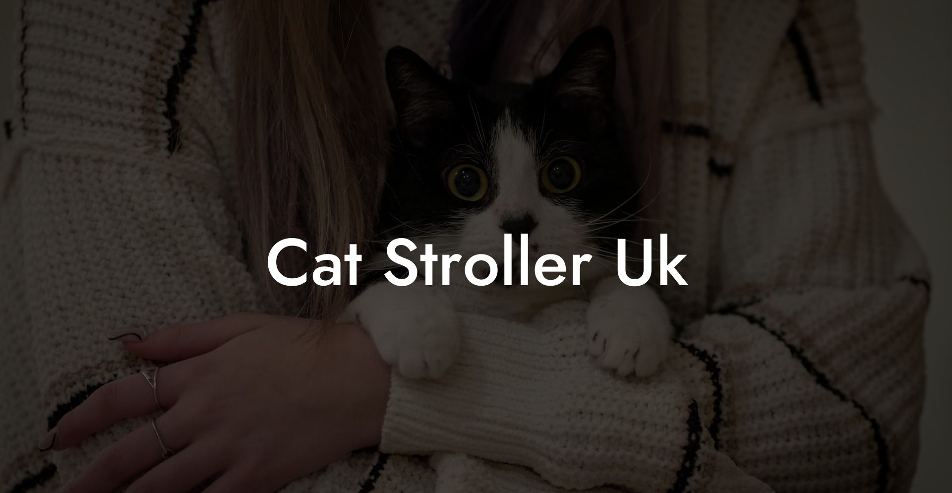 Cat Stroller Uk