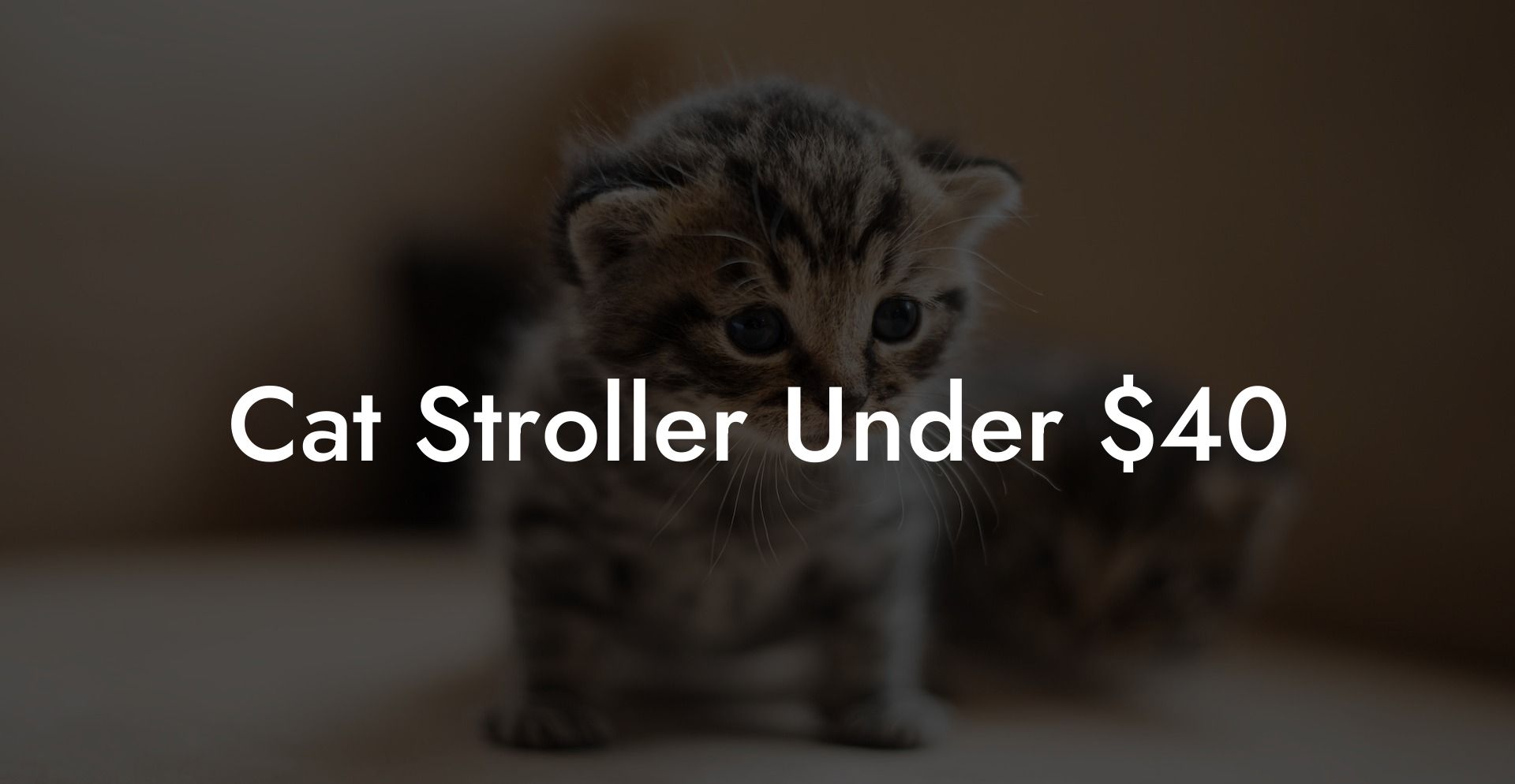 Cat Stroller Under $40