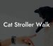 Cat Stroller Walk
