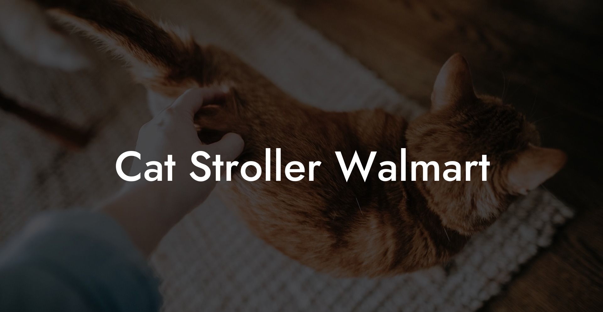 Cat Stroller Walmart