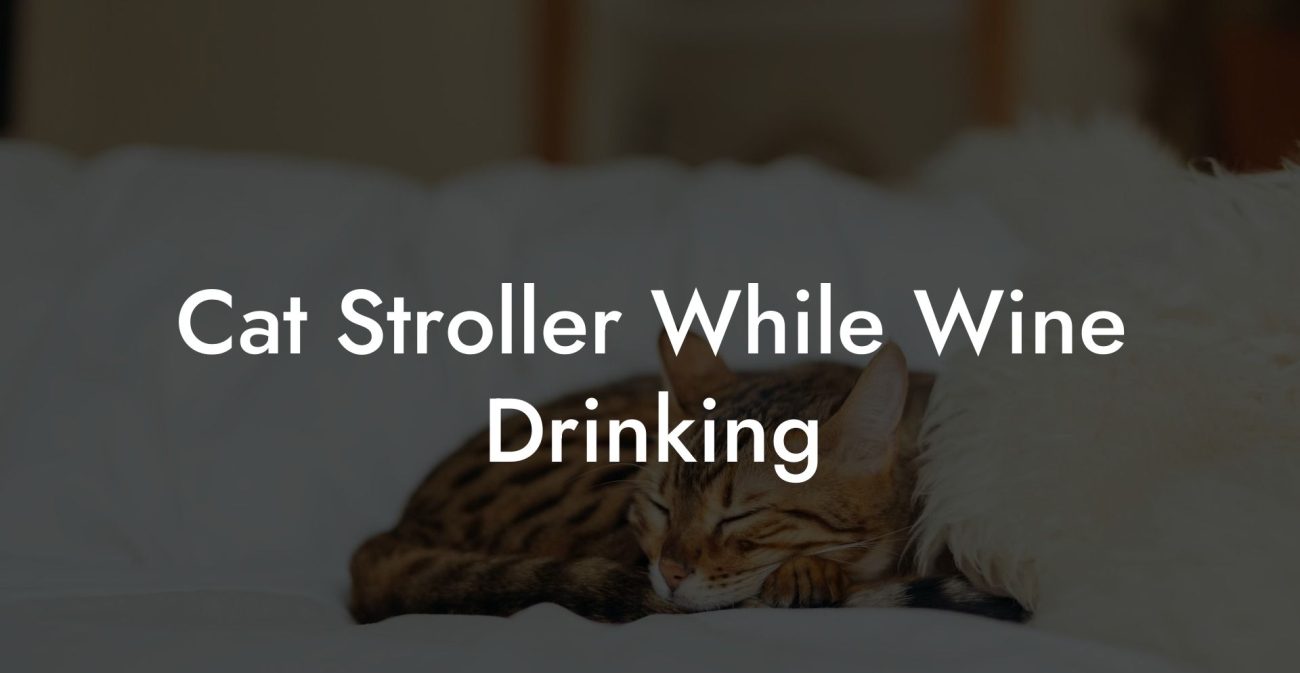 Cat Stroller While Wine Drinking