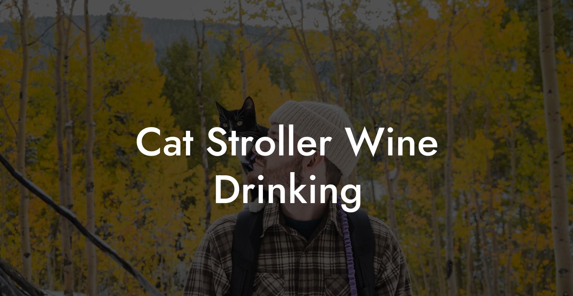 Cat Stroller Wine Drinking