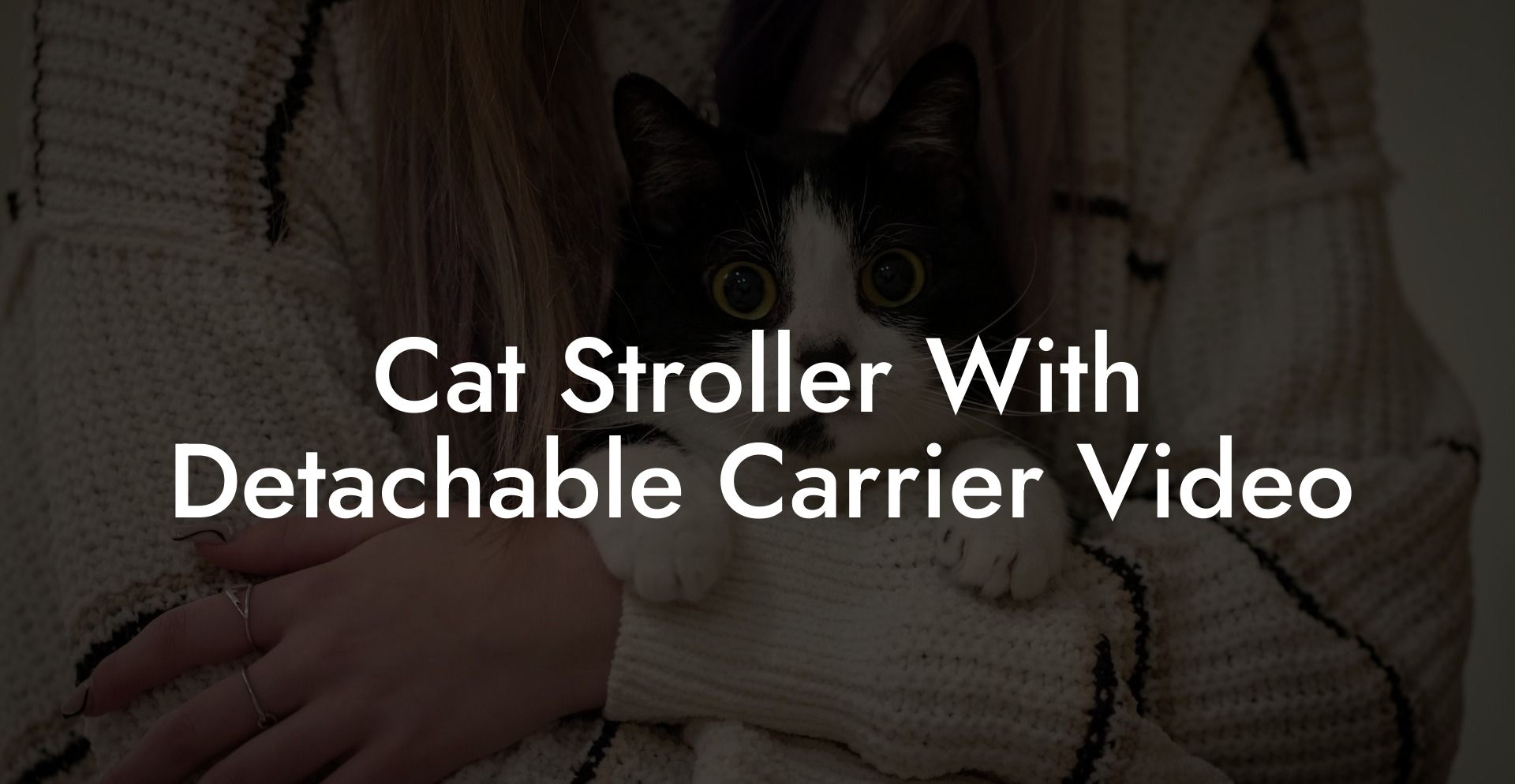 Cat Stroller With Detachable Carrier Video