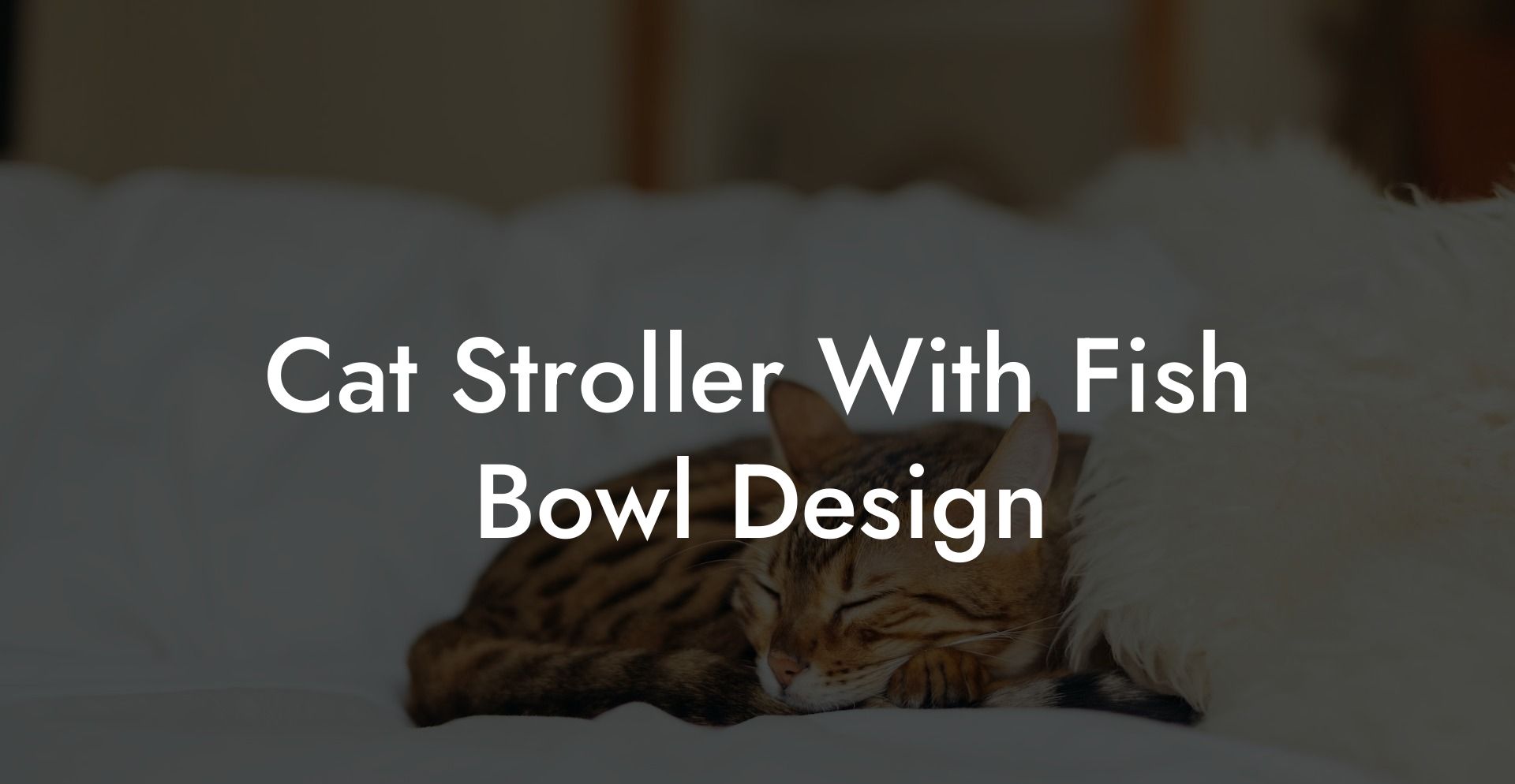 Cat Stroller With Fish Bowl Design