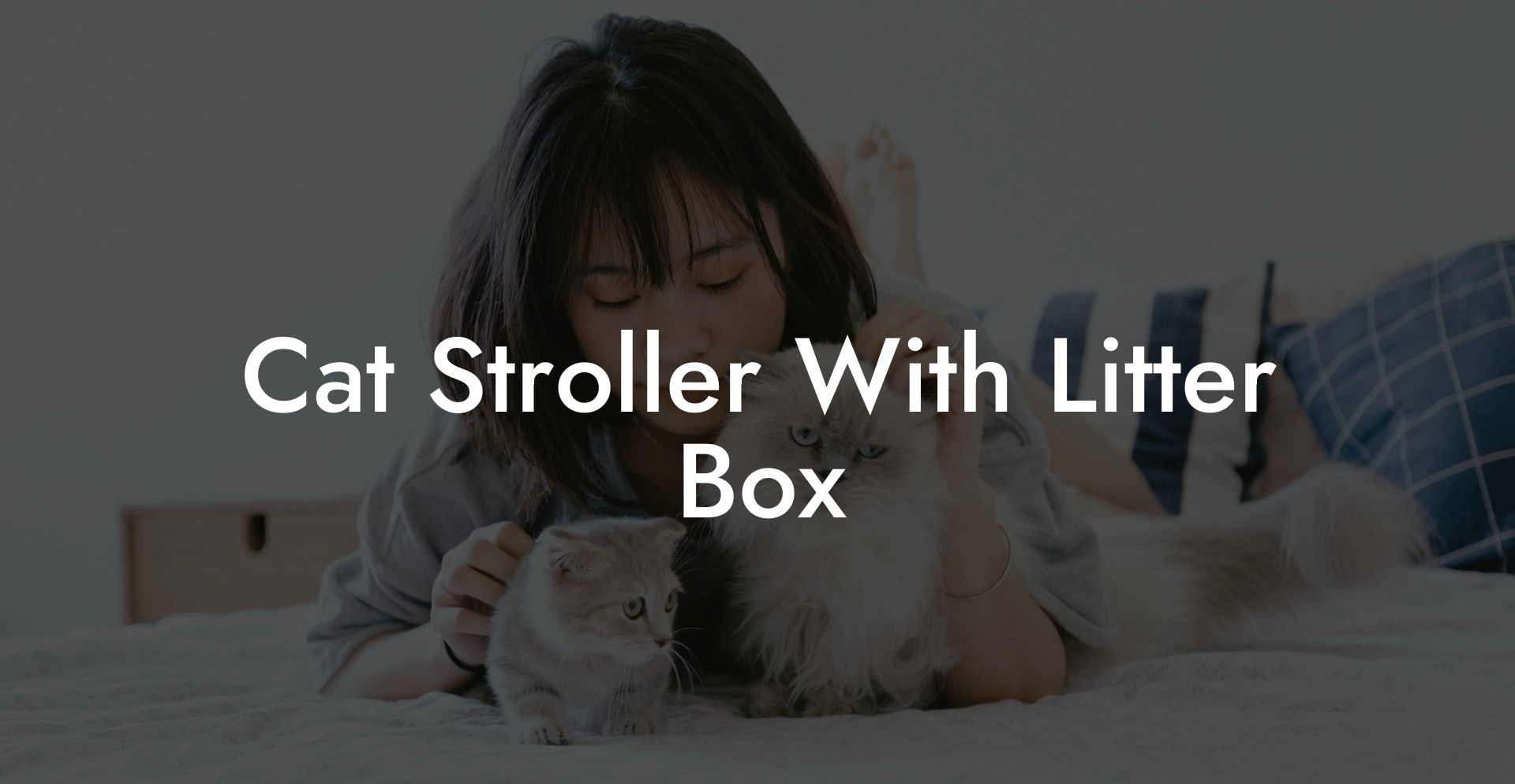 Cat Stroller With Litter Box