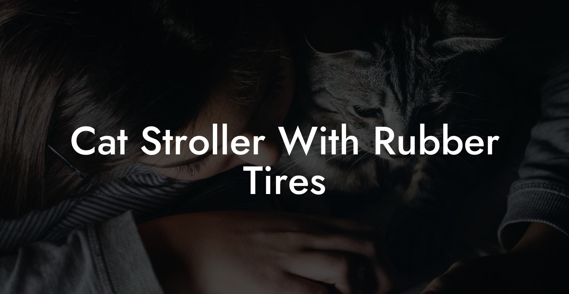 Cat Stroller With Rubber Tires