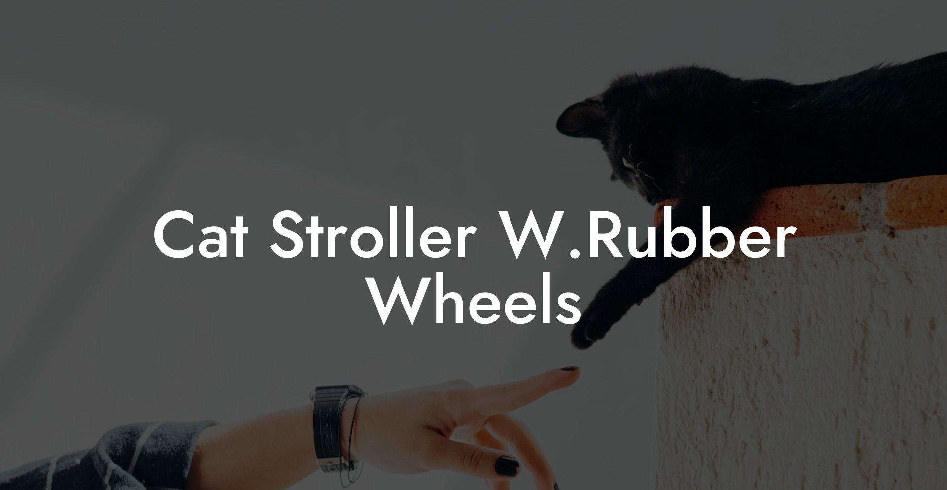 Cat Stroller W.Rubber Wheels