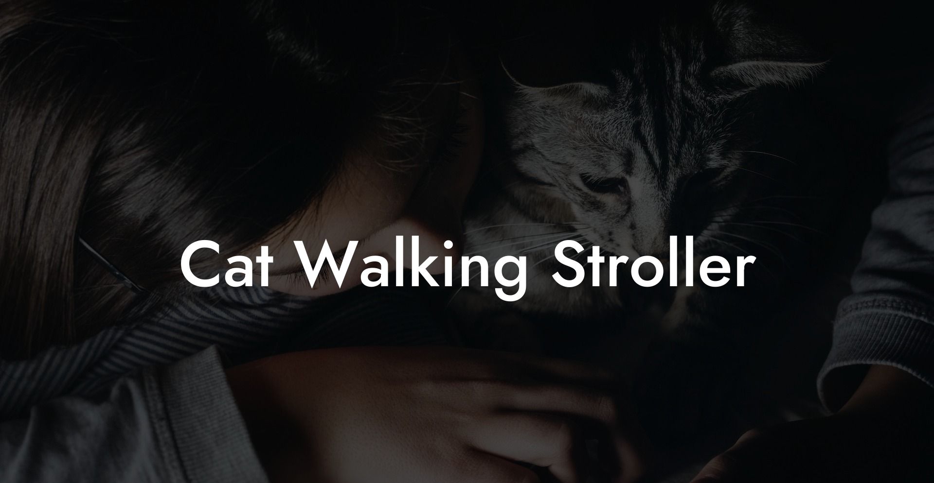 Cat Walking Stroller