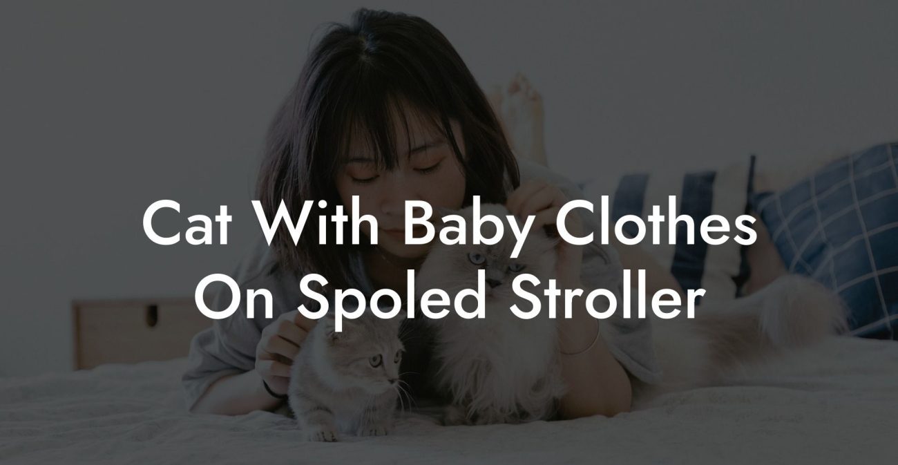Cat With Baby Clothes On Spoled Stroller