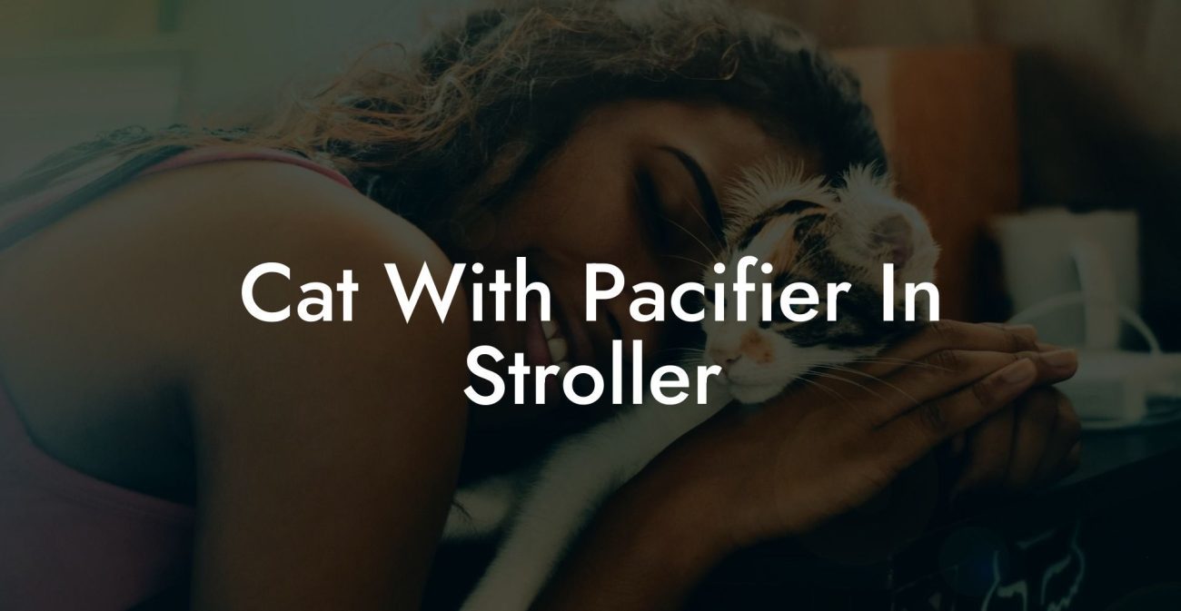 Cat With Pacifier In Stroller