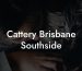 Cattery Brisbane Southside