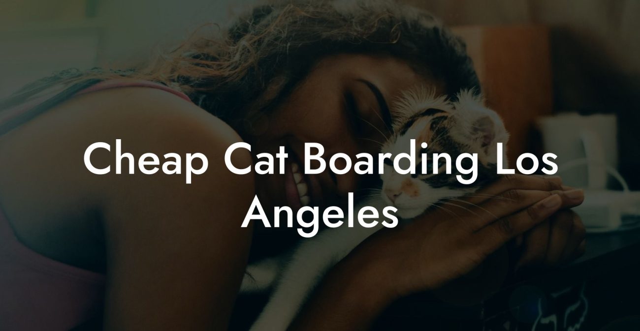 Cheap Cat Boarding Los Angeles
