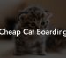 Cheap Cat Boarding