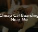 Cheap Cat Boarding Near Me