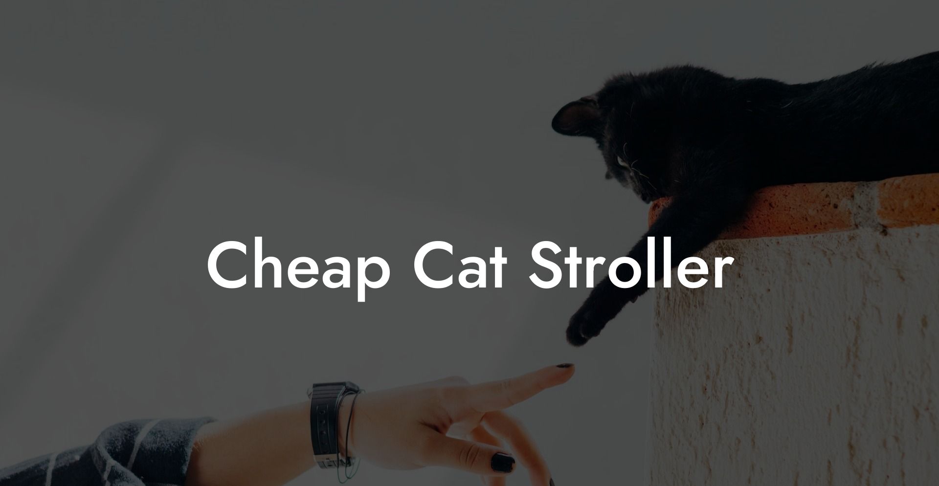 Cheap Cat Stroller