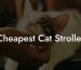 Cheapest Cat Stroller