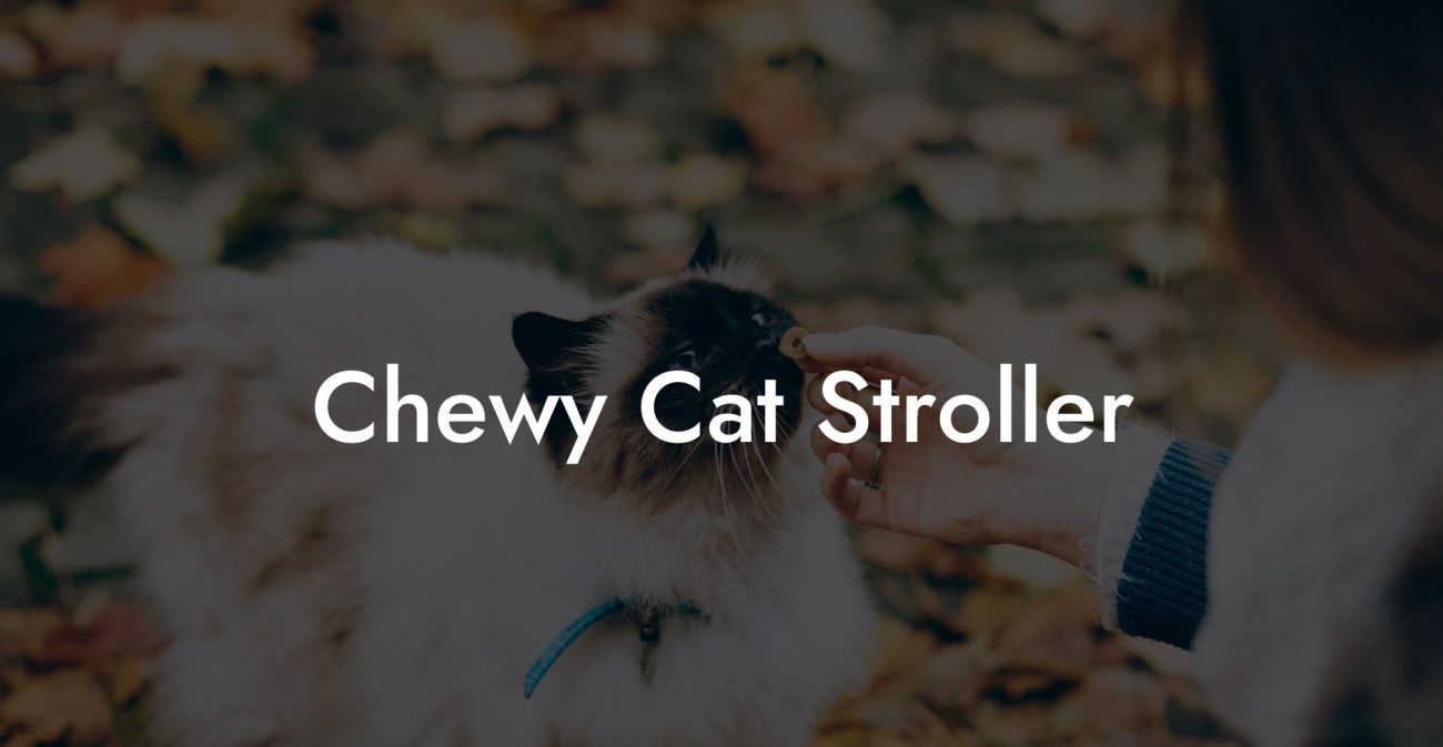 Chewy Cat Stroller