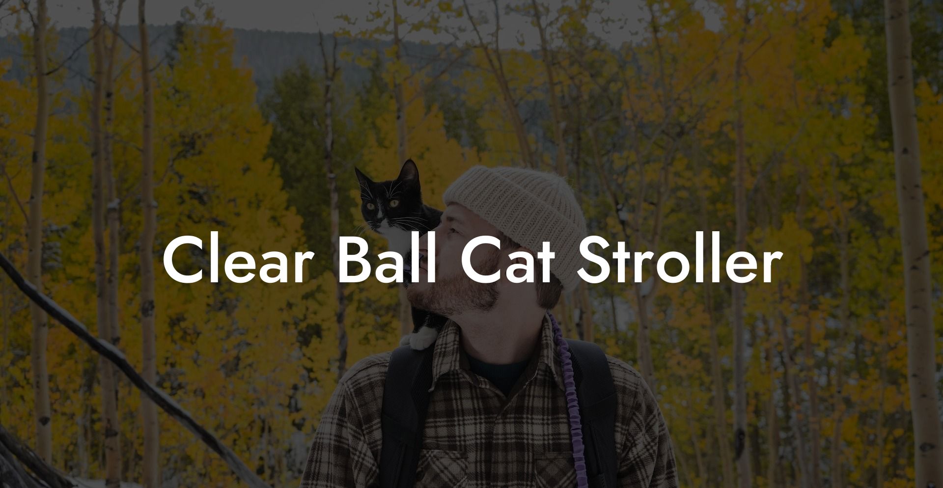 Clear Ball Cat Stroller