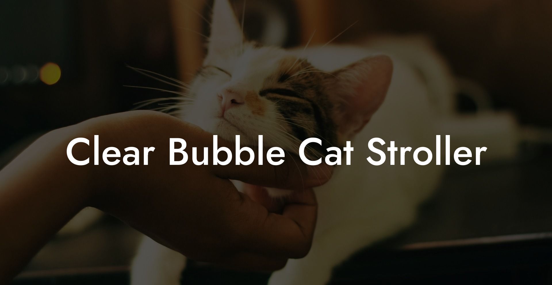 Clear Bubble Cat Stroller