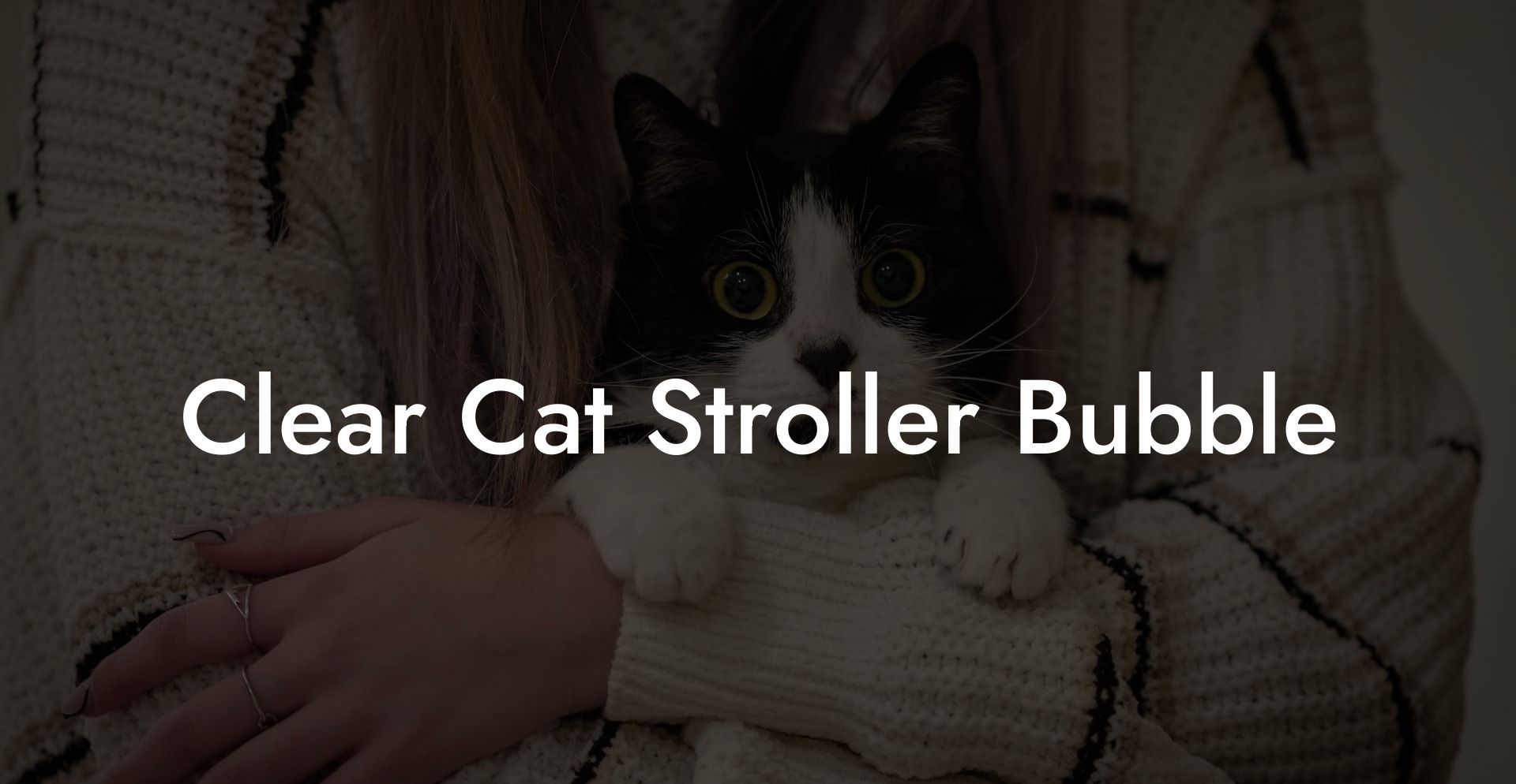 Clear Cat Stroller Bubble