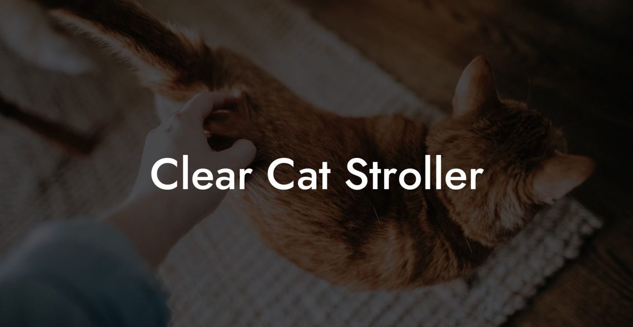 Clear Cat Stroller