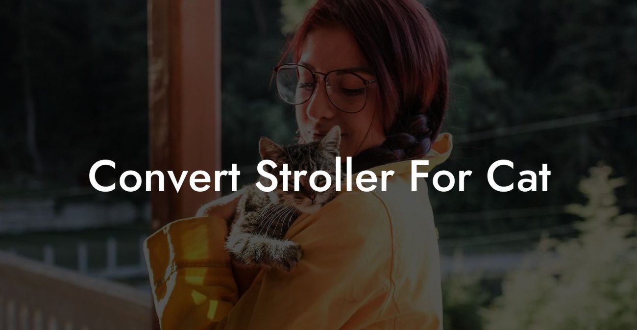 Convert Stroller For Cat