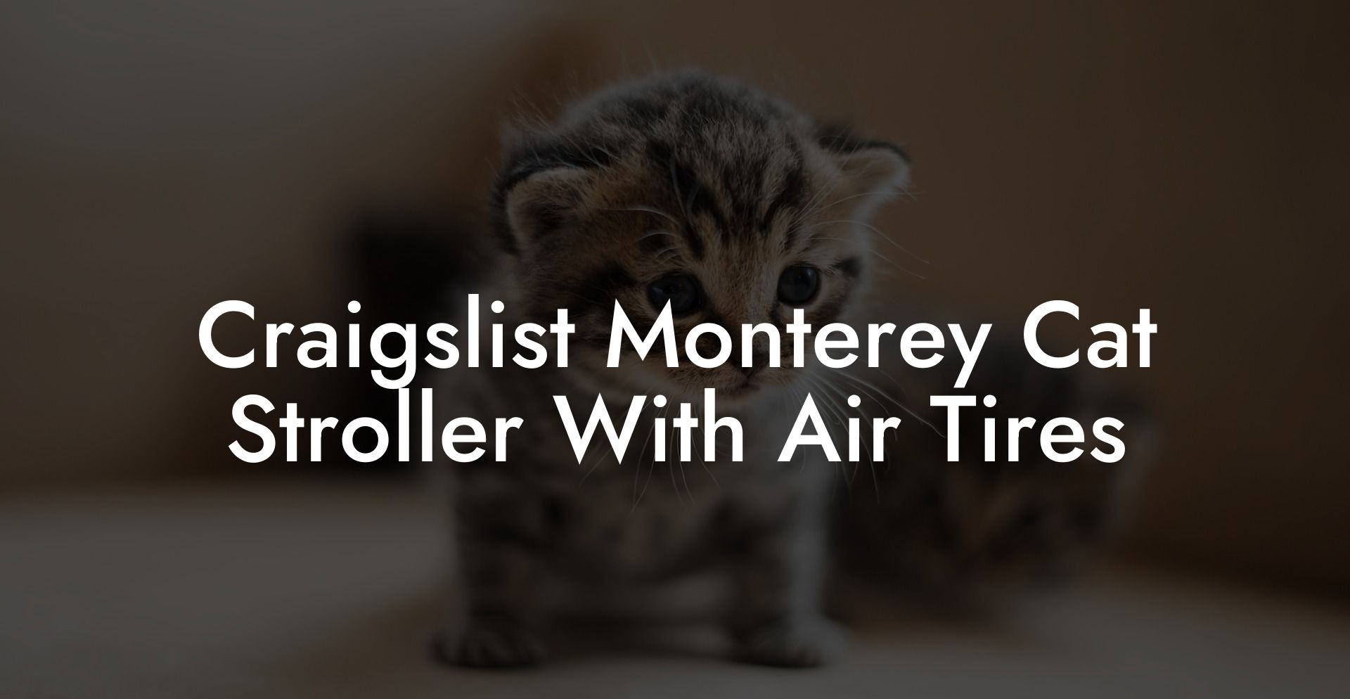 Craigslist Monterey Cat Stroller With Air Tires