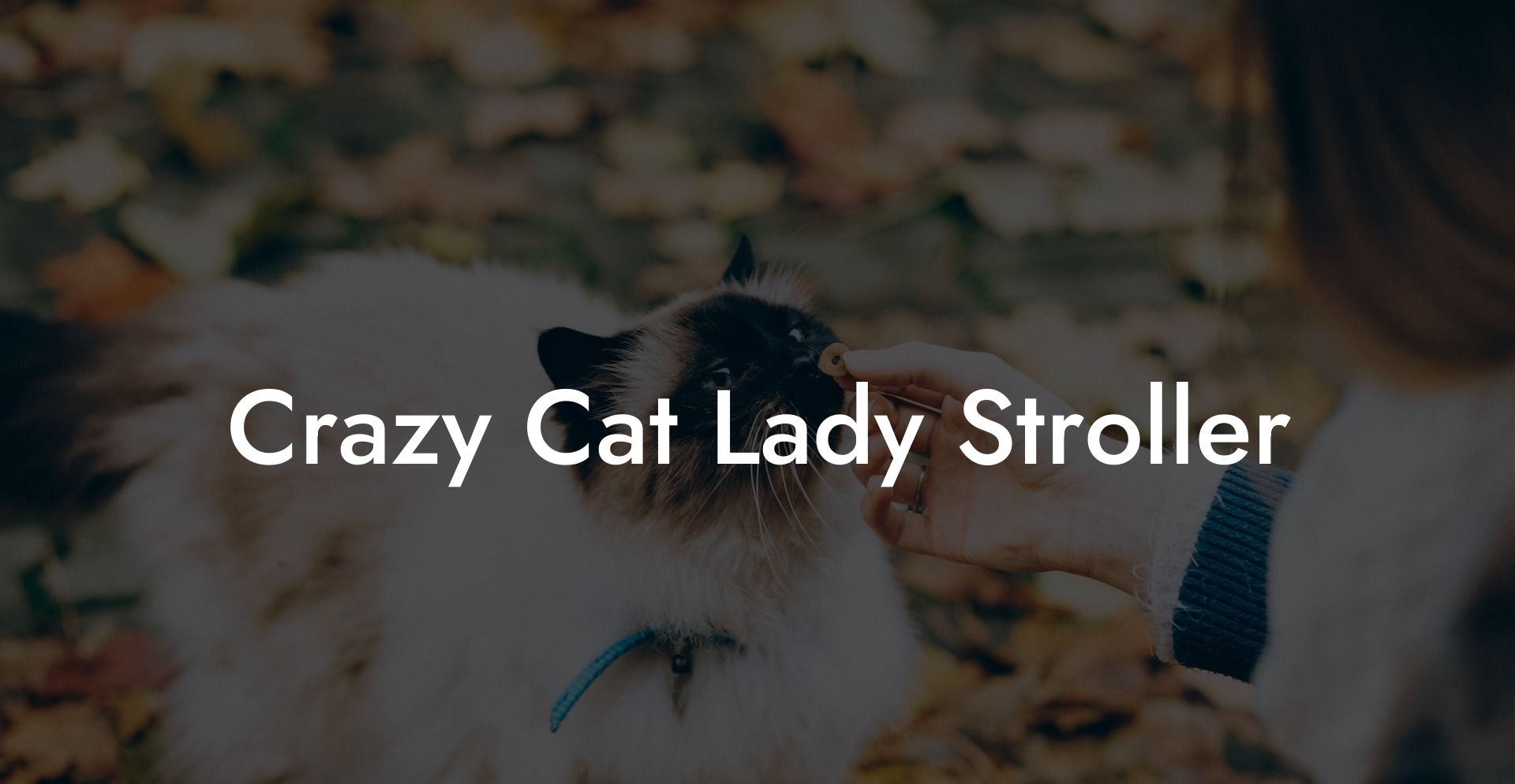 Crazy Cat Lady Stroller