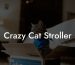 Crazy Cat Stroller
