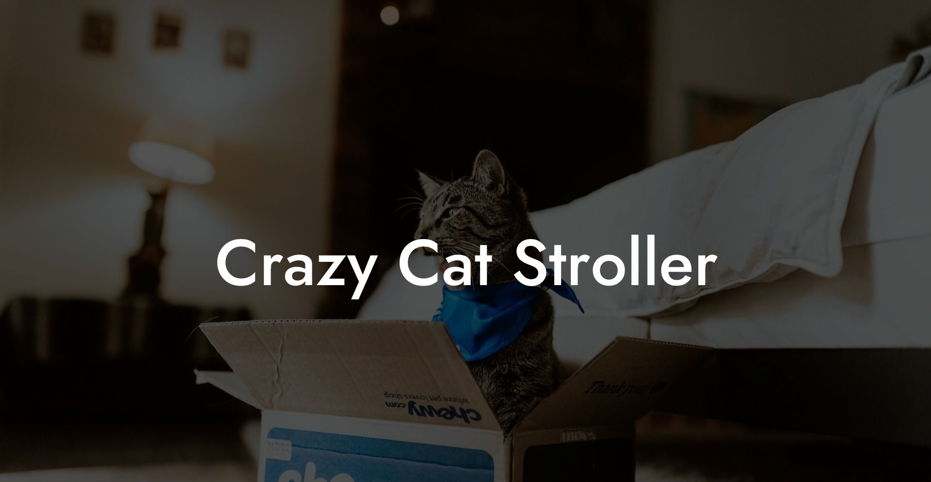 Crazy Cat Stroller