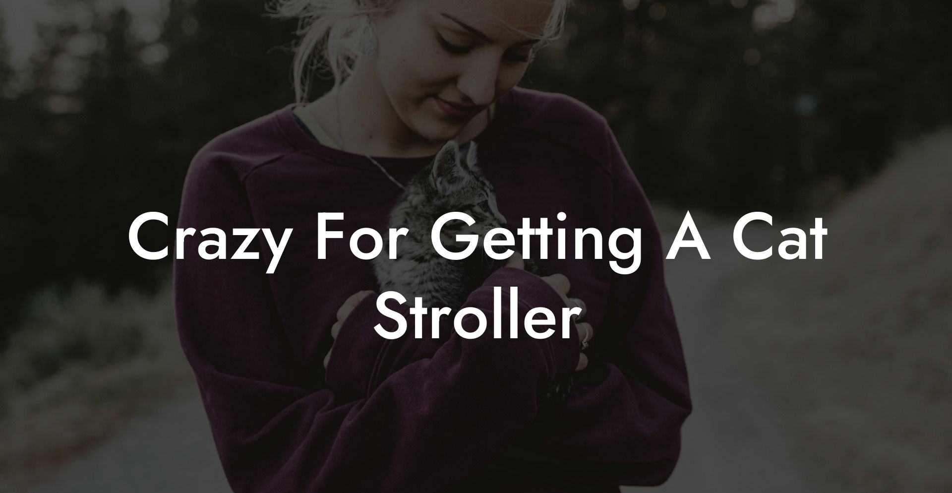Crazy For Getting A Cat Stroller