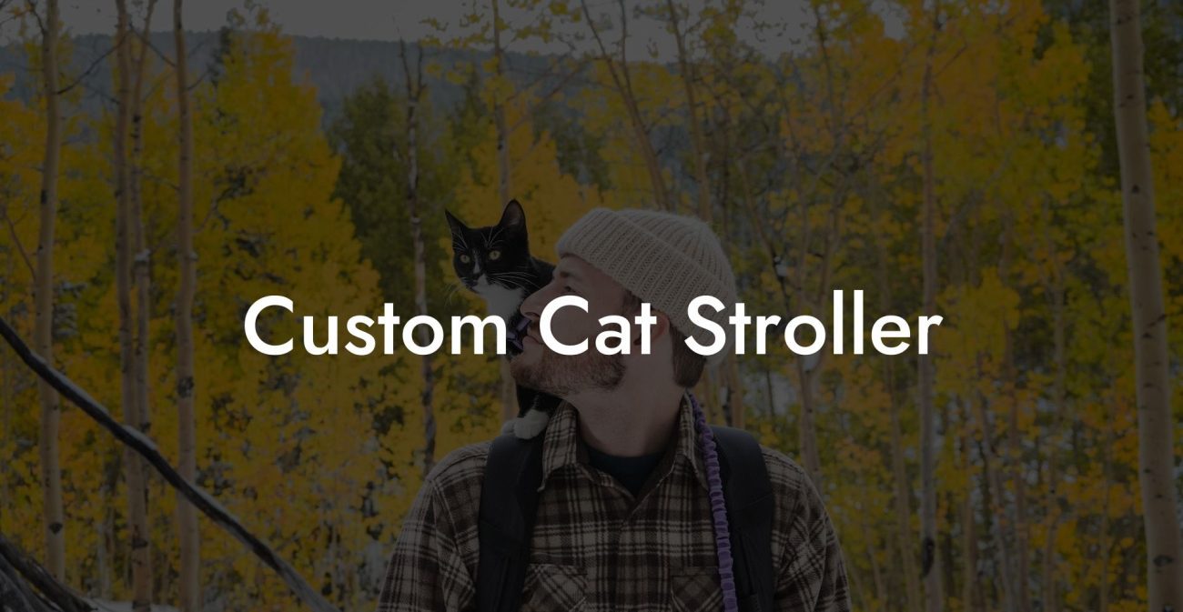 Custom Cat Stroller