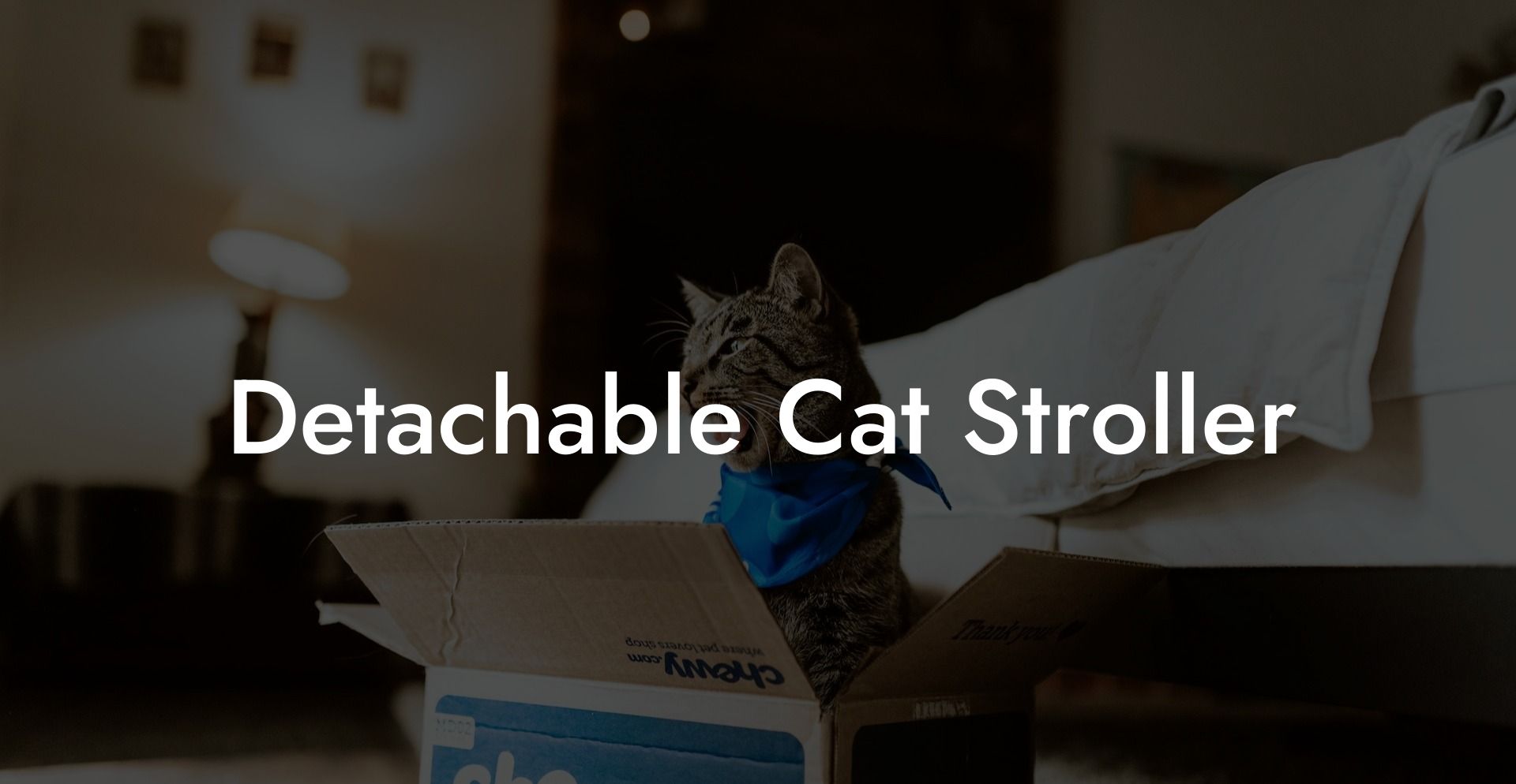 Detachable Cat Stroller