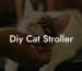 Diy Cat Stroller