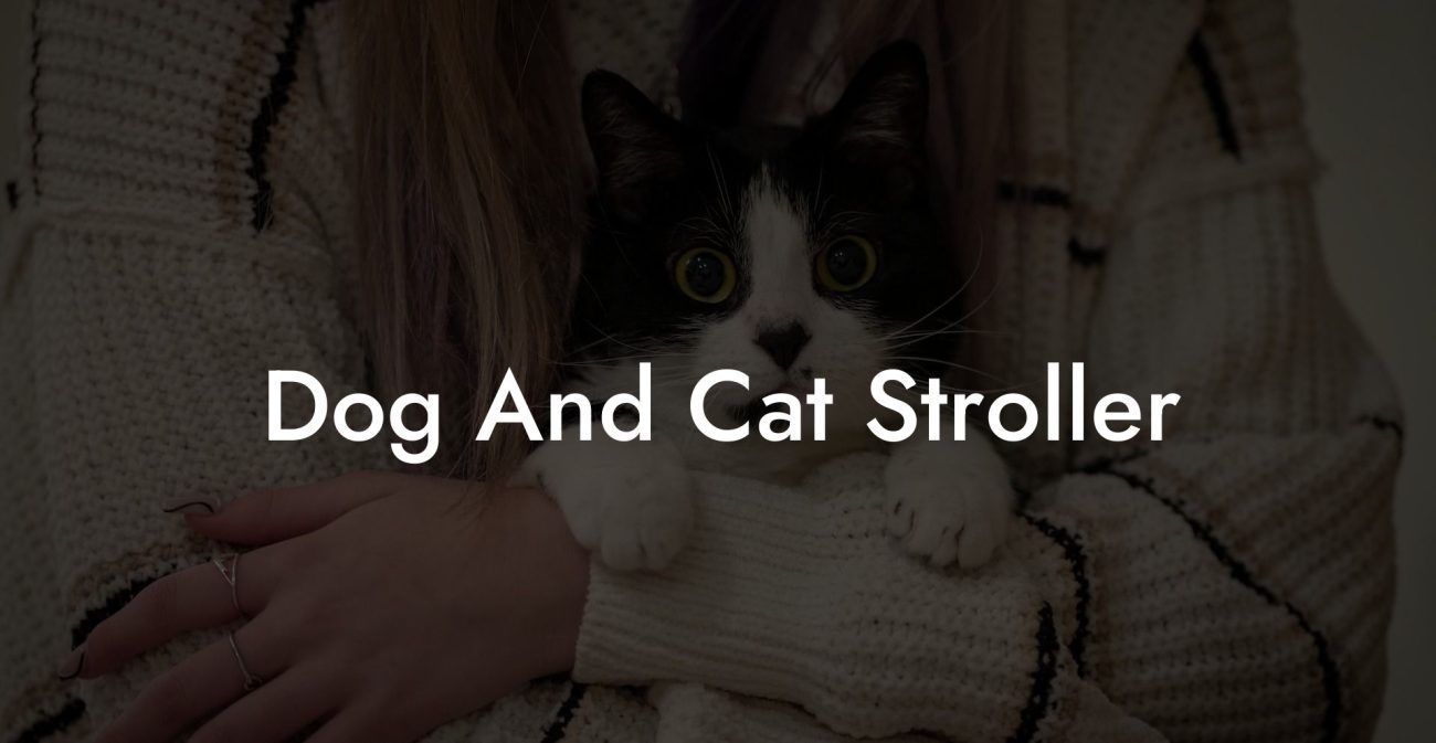 Dog And Cat Stroller