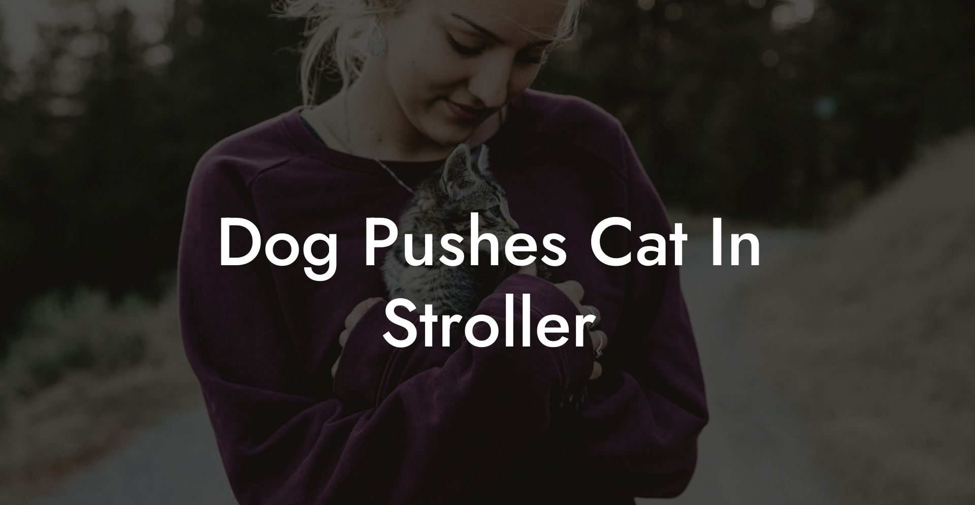Dog Pushes Cat In Stroller