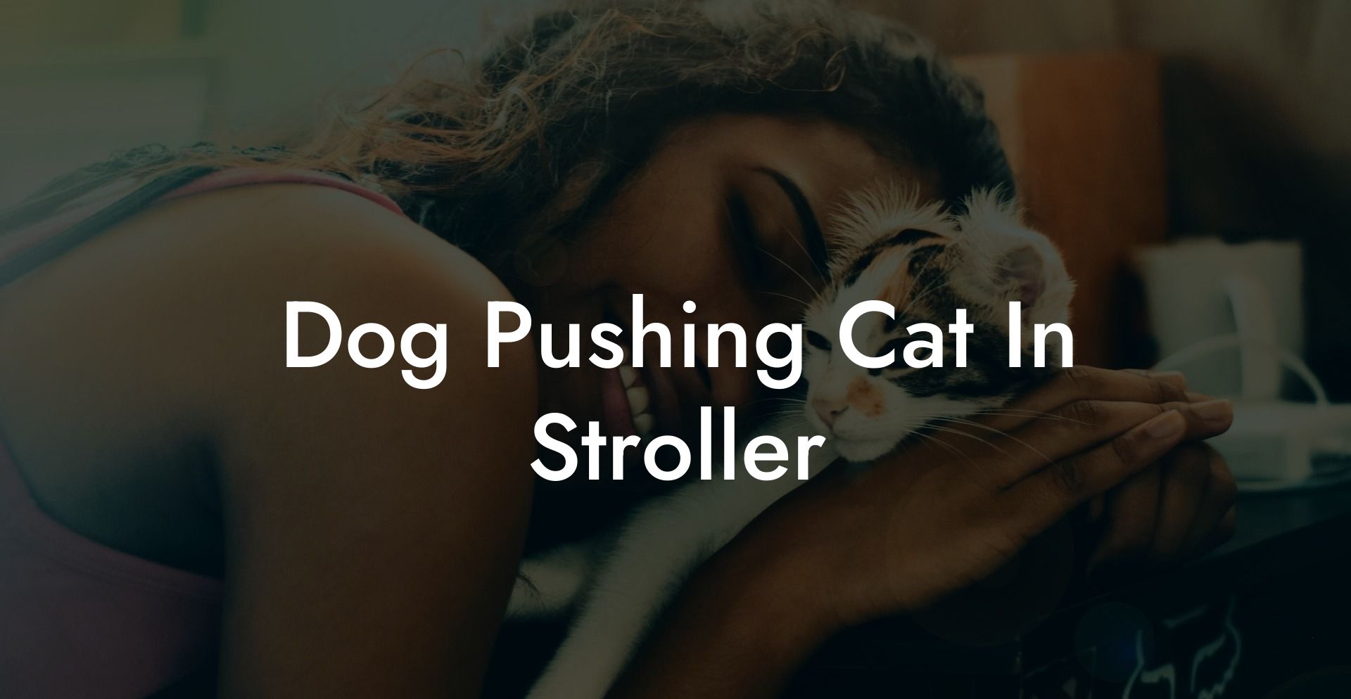 Dog Pushing Cat In Stroller