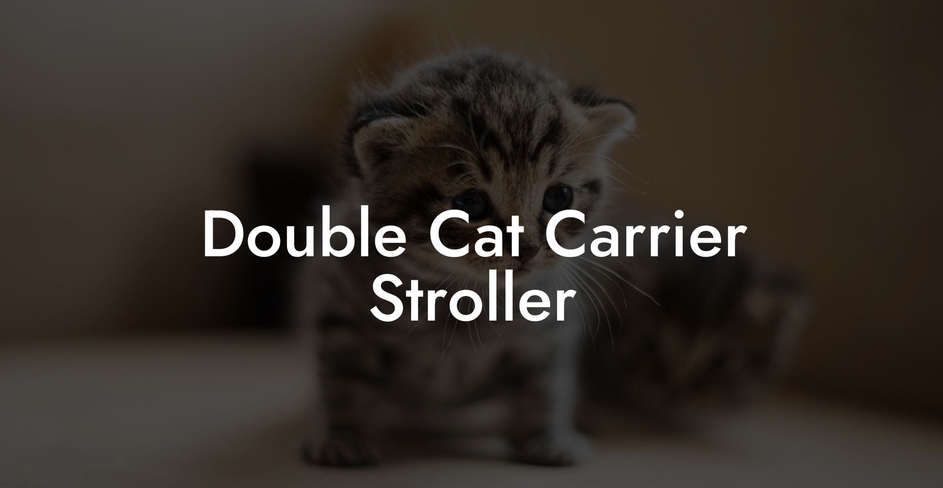 Double Cat Carrier Stroller