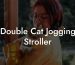 Double Cat Jogging Stroller